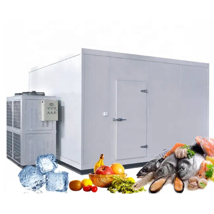 ArcticKing Industrial Walk-In Freezer by Chiller Depot